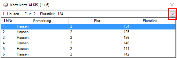 dialogbox_karteikarte_flurstückliste