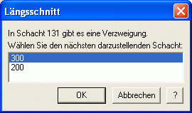 Option_Längsschnitt_Verzweigung