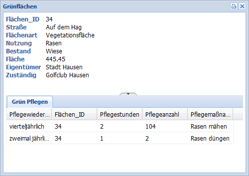 InternetCity_Karteikarte_Tabelle_1