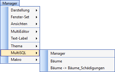 Manager_MultiSQL_Menü_Suchdialog_aufrufen