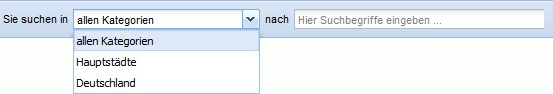 InternetCity_Suchfunktion_Freitextsuche_Kategorien_Schaltflaeche_2