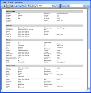 manager_multieditor_tabelle_drucken.zoom46